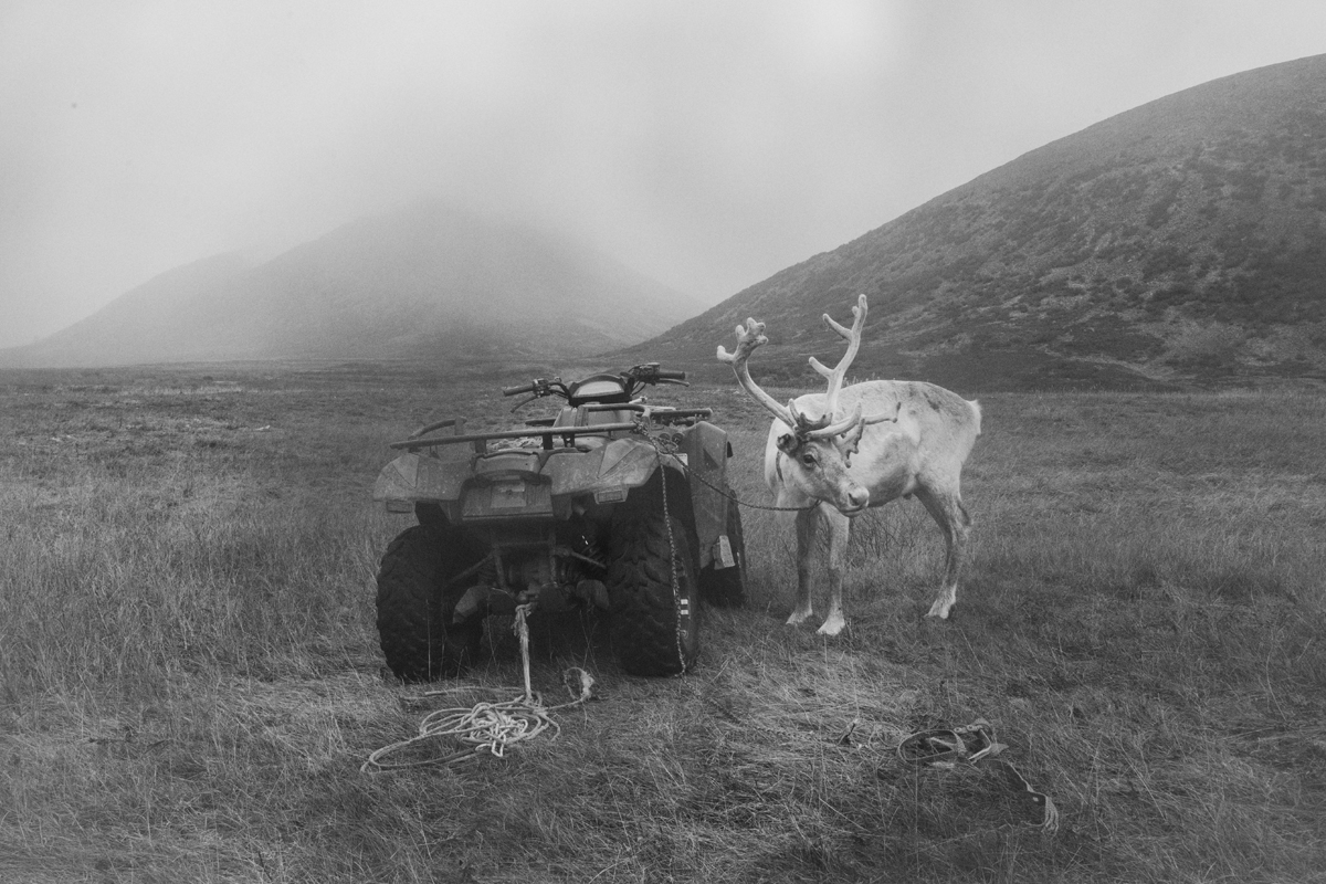 Песни для тундры и города | Заповедник